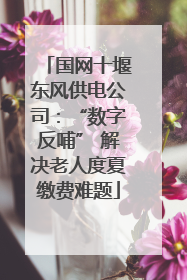 国网十堰东风供电公司：“数字反哺” 解决老人度夏缴费难题