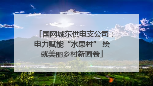 国网城东供电支公司：电力赋能“水果村” 绘就美丽乡村新画卷