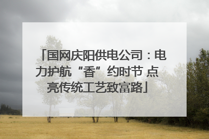 国网庆阳供电公司：电力护航“香”约时节 点亮传统工艺致富路