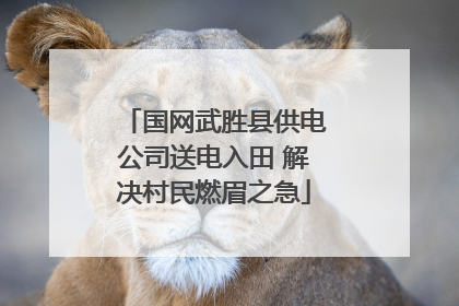 国网武胜县供电公司送电入田 解决村民燃眉之急