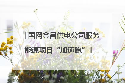 国网金昌供电公司服务能源项目“加速跑”