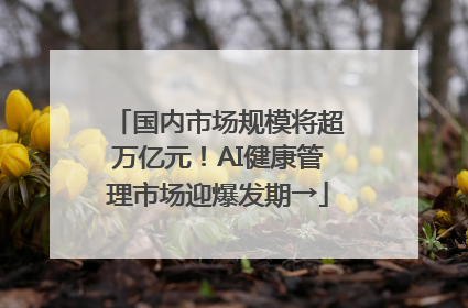 国内市场规模将超万亿元！AI健康管理市场迎爆发期→