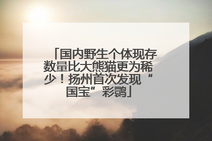 国内野生个体现存数量比大熊猫更为稀少！扬州首次发现“国宝”彩鹮