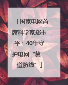国家电网首席科学家郑玉平：40年守护电网“第一道防线”