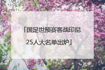 国足世预赛客战印尼25人大名单出炉