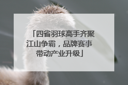 四省羽球高手齐聚江山争霸，品牌赛事带动产业升级