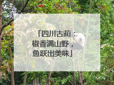 四川古蔺：椒香满山野，鱼跃出美味
