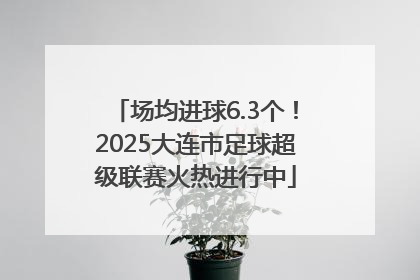 场均进球6.3个！2025大连市足球超级联赛火热进行中
