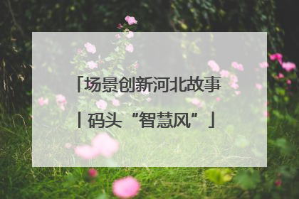 场景创新河北故事丨码头“智慧风”