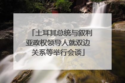 土耳其总统与叙利亚政权领导人就双边关系等举行会谈