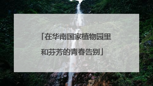 在华南国家植物园里和芬芳的青春告别