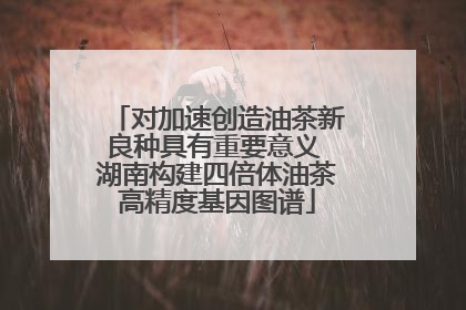对加速创造油茶新良种具有重要意义 湖南构建四倍体油茶高精度基因图谱