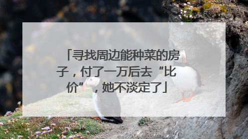 寻找周边能种菜的房子，付了一万后去“比价”，她不淡定了
