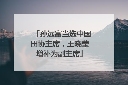 孙远富当选中国田协主席，王晓莹增补为副主席
