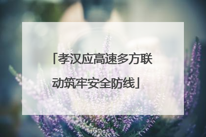 孝汉应高速多方联动筑牢安全防线