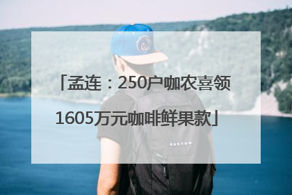 孟连：250户咖农喜领1605万元咖啡鲜果款