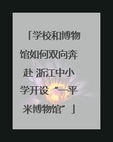 学校和博物馆如何双向奔赴 浙江中小学开设“一平米博物馆”