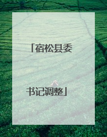 宿松县委书记调整