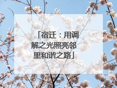 宿迁：用调解之光照亮邻里和谐之路