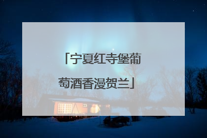 宁夏红寺堡葡萄酒香漫贺兰