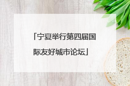 宁夏举行第四届国际友好城市论坛