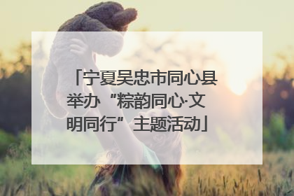 宁夏吴忠市同心县举办“粽韵同心·文明同行”主题活动