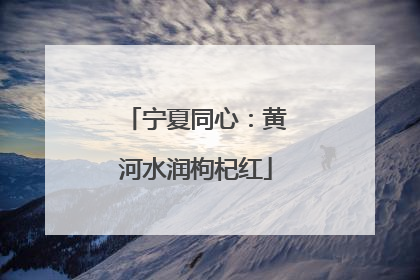 宁夏同心：黄河水润枸杞红