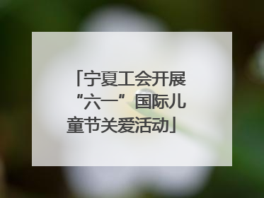 宁夏工会开展“六一”国际儿童节关爱活动