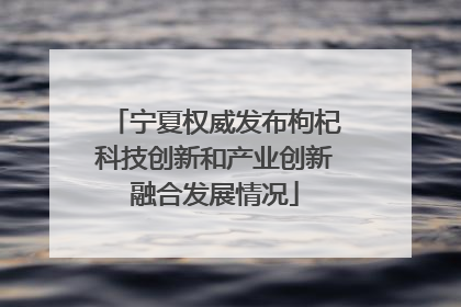 宁夏权威发布枸杞科技创新和产业创新融合发展情况
