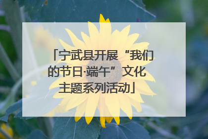 宁武县开展“我们的节日·端午”文化主题系列活动