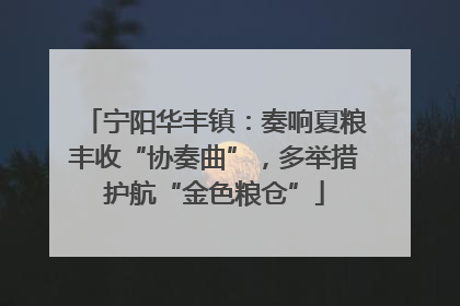 宁阳华丰镇：奏响夏粮丰收“协奏曲”，多举措护航“金色粮仓”