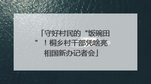 守好村民的“饭碗田”！桐乡村干部凭啥亮相国新办记者会