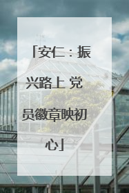 安仁：振兴路上 党员徽章映初心