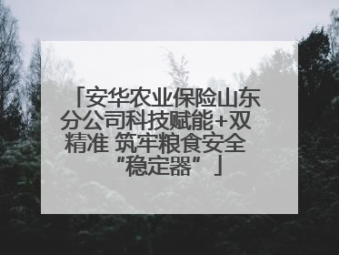 安华农业保险山东分公司科技赋能+双精准 筑牢粮食安全“稳定器”