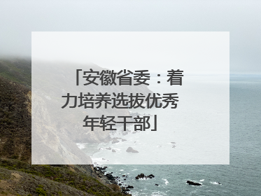 安徽省委：着力培养选拔优秀年轻干部