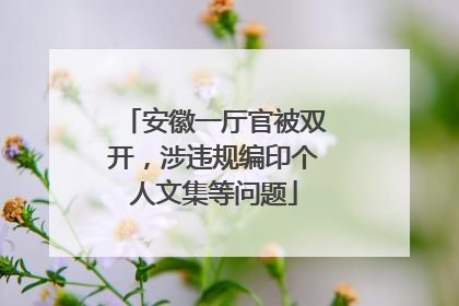 安徽一厅官被双开，涉违规编印个人文集等问题