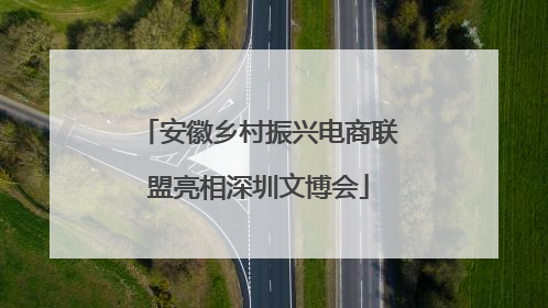 安徽乡村振兴电商联盟亮相深圳文博会