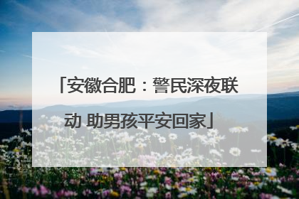 安徽合肥：警民深夜联动 助男孩平安回家