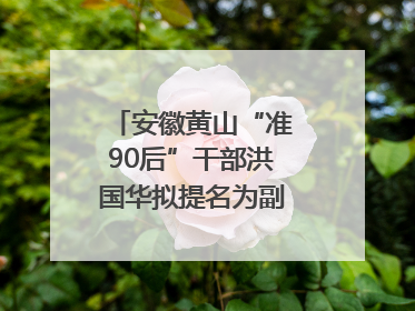 安徽黄山“准90后”干部洪国华拟提名为副区县长人选