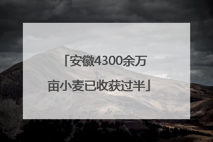 安徽4300余万亩小麦已收获过半