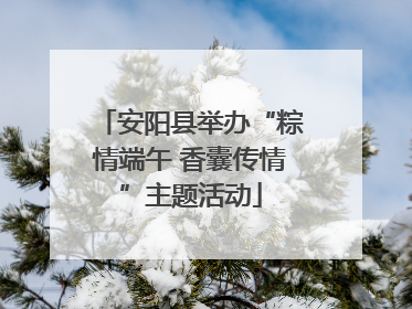 安阳县举办“粽情端午 香囊传情”主题活动