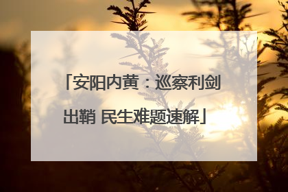 安阳内黄：巡察利剑出鞘 民生难题速解