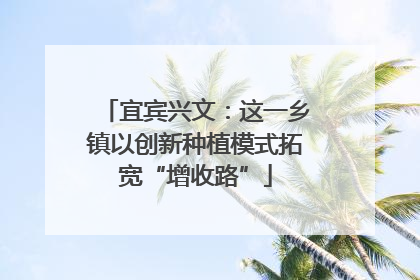 宜宾兴文：这一乡镇以创新种植模式拓宽“增收路”
