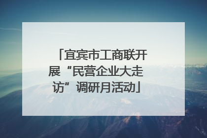宜宾市工商联开展“民营企业大走访”调研月活动