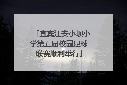 宜宾江安小坝小学第五届校园足球联赛顺利举行