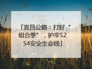 宜昌公路：打好“组合拳”，护牢S254安全生命线