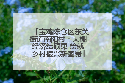 宝鸡陈仓区东关街道南阳村：大棚经济结硕果 绘就乡村振兴新图景