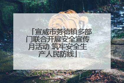宣威市务德镇多部门联合开展安全宣传月活动 筑牢安全生产人民防线