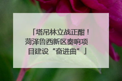 塔吊林立战正酣！菏泽鲁西新区奏响项目建设“奋进曲”