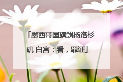 墨西哥国旗飘扬洛杉矶 白宫：看，罪证